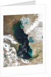 Ice Covering Northern Portion of the Caspian Sea by Anonymous
