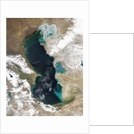 Ice Covering Northern Portion of the Caspian Sea by Anonymous