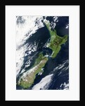 New Zealand by Anonymous