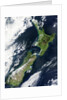 New Zealand by Anonymous