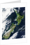 New Zealand by Anonymous