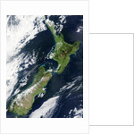 New Zealand by Anonymous