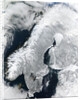 Scandinavian Peninsula in Winter by Anonymous