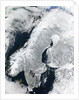 Scandinavian Peninsula in Winter by Anonymous