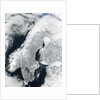 Scandinavian Peninsula in Winter by Anonymous