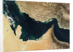 Persian Gulf Around the Strait of Hormuz by Anonymous