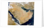 Dust Storm Over Arabian Peninsula and Persian Gulf by Anonymous