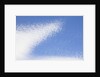 Cirrocumulus Clouds in Blue Sky by Anonymous