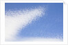Cirrocumulus Clouds in Blue Sky by Anonymous