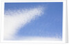 Cirrocumulus Clouds in Blue Sky by Anonymous