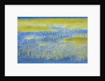Wetland Grasses in Lake by Anonymous