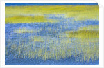 Wetland Grasses in Lake by Anonymous