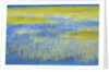Wetland Grasses in Lake by Anonymous