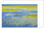 Wetland Grasses in Lake by Anonymous
