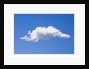 Single Cumulus Cloud in Blue Sky by Anonymous