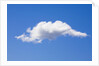 Single Cumulus Cloud in Blue Sky by Anonymous