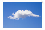Single Cumulus Cloud in Blue Sky by Anonymous