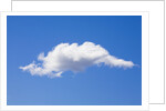 Single Cumulus Cloud in Blue Sky by Anonymous