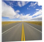 Rural Road Through Grassland by Anonymous