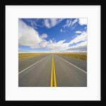 Rural Road Through Grassland by Anonymous