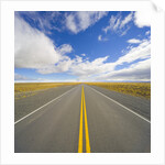 Rural Road Through Grassland by Anonymous