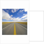 Rural Road Through Grassland by Anonymous