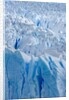Perito Moreno Glacier by Anonymous