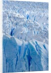 Perito Moreno Glacier by Anonymous