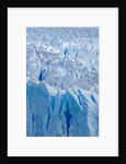 Perito Moreno Glacier by Anonymous