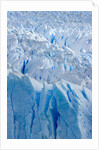 Perito Moreno Glacier by Anonymous