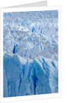 Perito Moreno Glacier by Anonymous