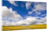 Cumulus Clouds above Rural Road by Anonymous