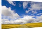 Cumulus Clouds above Rural Road by Anonymous