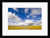 Cumulus Clouds above Rural Road by Anonymous