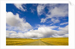 Cumulus Clouds above Rural Road by Anonymous