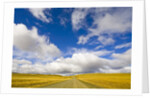 Cumulus Clouds above Rural Road by Anonymous