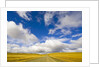 Cumulus Clouds above Rural Road by Anonymous