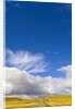 Clouds above Rural Road by Anonymous