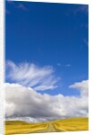 Clouds above Rural Road by Anonymous