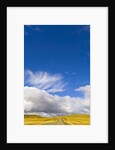 Clouds above Rural Road by Anonymous