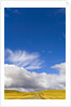 Clouds above Rural Road by Anonymous