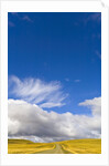 Clouds above Rural Road by Anonymous