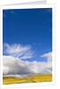 Clouds above Rural Road by Anonymous