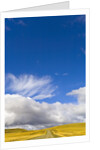 Clouds above Rural Road by Anonymous