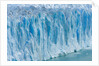 Perito Moreno Glacier by Anonymous