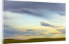 Prairie under Cloudy Sky at Sunset by Anonymous