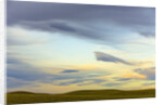Prairie under Cloudy Sky at Sunset by Anonymous