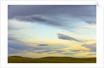 Prairie under Cloudy Sky at Sunset by Anonymous
