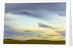Prairie under Cloudy Sky at Sunset by Anonymous