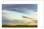 Prairie under Cloudy Sky at Sunset by Anonymous